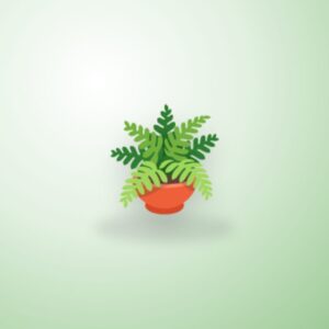 Monstera în ghiveci