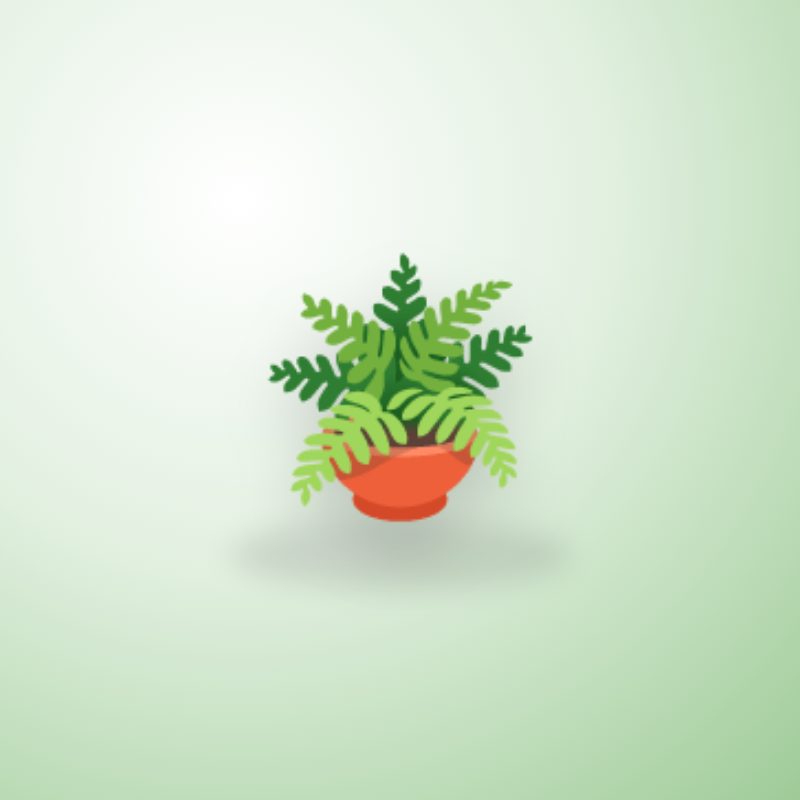 Monstera în ghiveci